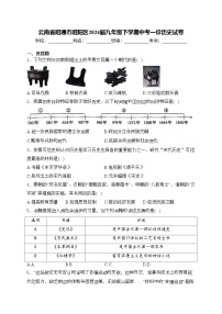 云南省昭通市昭阳区2024届九年级下学期中考一诊历史试卷(含答案)