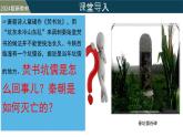 【核心素養(yǎng)】統(tǒng)編版（2024）歷史七年級上冊 第10課 秦末農(nóng)民大起義（同步課件+同步練習）