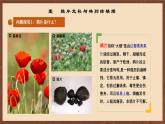 【新课标】1《鸦片战争》课件+教案+分层作业+导学案
