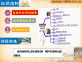 【核心素养新课标】人教统编版九年级历史上册第 9课  中世纪城市和大学的兴起（同步课件）