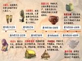 1.1 远古时期的人类活动 课件2024-2025学年统编版七年级历史上册