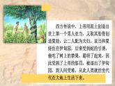 1.1 远古时期的人类活动 课件2024-2025学年统编版七年级历史上册