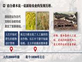1.2 原始农业与史前社会  课件2024-2025学年统编版七年级历史上册