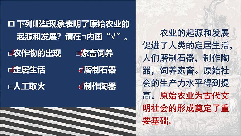 1.2 原始农业与史前社会  课件2024-2025学年统编版七年级历史上册05