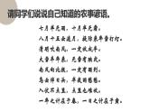4.20 三国两晋南北朝时期的科技与文化  课件2024-2025学年统编版七年级历史上册