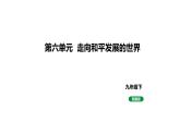 人教版九下歷史第六單元走向和平發(fā)展的世界(2024成都中考復(fù)習(xí)課件)