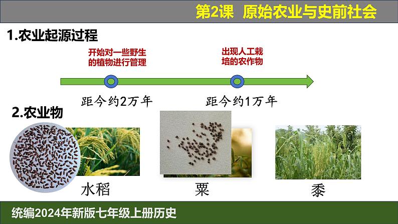 人教版（2024）7上历史第2课《原始农业与史前社会》课件07