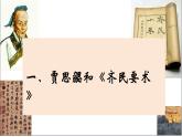 人教版（2024）7上历史第20课《三国两晋南北朝时期的科技与文化》课件