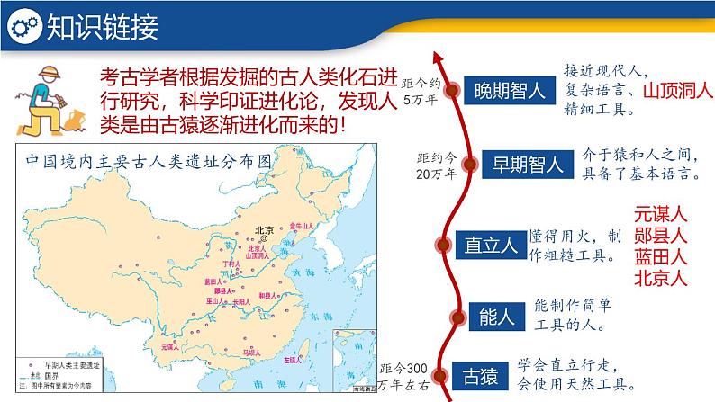 【历史教学帮】（2024年新教材）初中历史七年级上册 第1课 远古时期的人类活动 同步精品课件03
