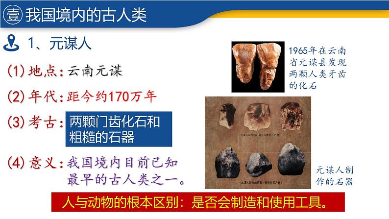 【历史教学帮】（2024年新教材）初中历史七年级上册 第1课 远古时期的人类活动 同步精品课件07