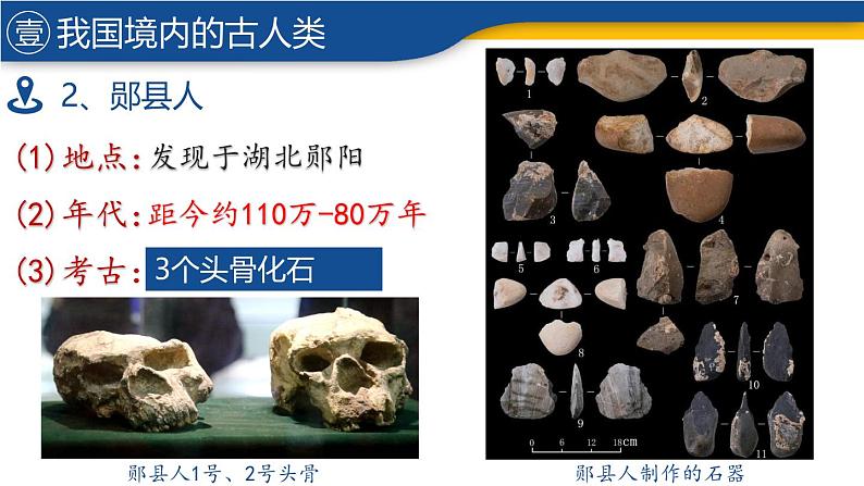 【历史教学帮】（2024年新教材）初中历史七年级上册 第1课 远古时期的人类活动 同步精品课件08