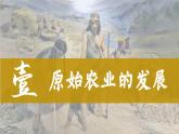 统编版（五四制）初中历史 中国历史第一册 第2课 原始农耕生活  课件