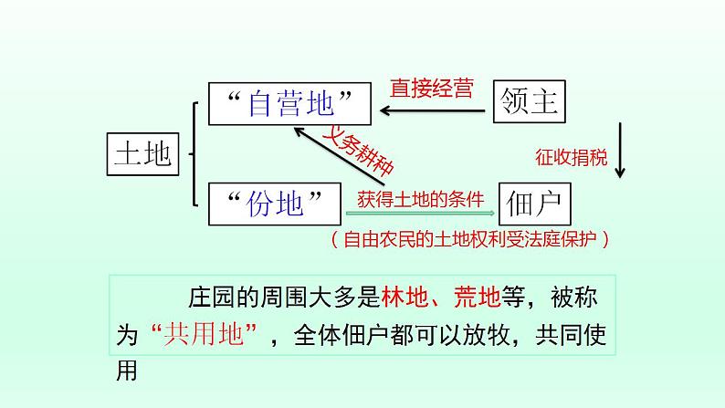 统编版（五四学制）初中历史 世界历史第一册第8课 西欧庄园 课件06