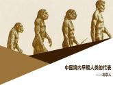 部编版历史与社会七年级上册 第1课中国境内早期人类的代表——北京人（含视频） 课件