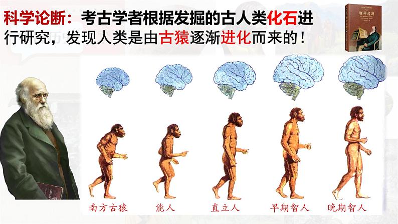 【高效备课】七上 第1课 远古时期的人类活动 精品课件04