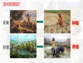 【高效備課】七上 第2課 原始農(nóng)業(yè)與史前社會 精品課件