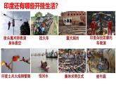 【同步優(yōu)選】九上 第3課 古代印度 精品課件