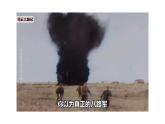 部编版历史八年级上册 第21课  敌后战场的抗战（同步课件）