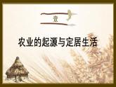 人教统编2024年版七年级历史上册第2课   原始农业与史前社会（同步教学课件）