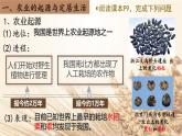 人教统编2024年版七年级历史上册第2课   原始农业与史前社会（同步教学课件）