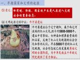 人教统编2024年版七年级历史上册第3课  中华文明的起源（课件）