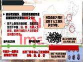 人教统编2024年版七年级历史上册第2课 原始农业与史前社会【课件】