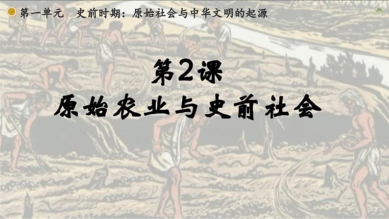 人教统编2024年版七年级历史上册第2课_原始农业与史前社会【课件】（33页）02