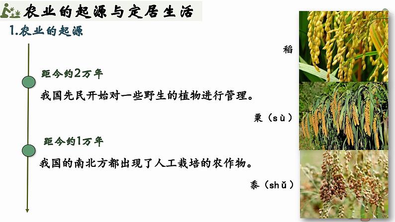 人教统编2024年版七年级历史上册第2课_原始农业与史前社会【课件】（33页）04
