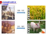 人教统编2024年版七年级历史上册第2课  原始农业和史前社会（课件）