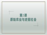 人教统编2024年版七年级历史上册第2课_原始农业与史前社会【课件】