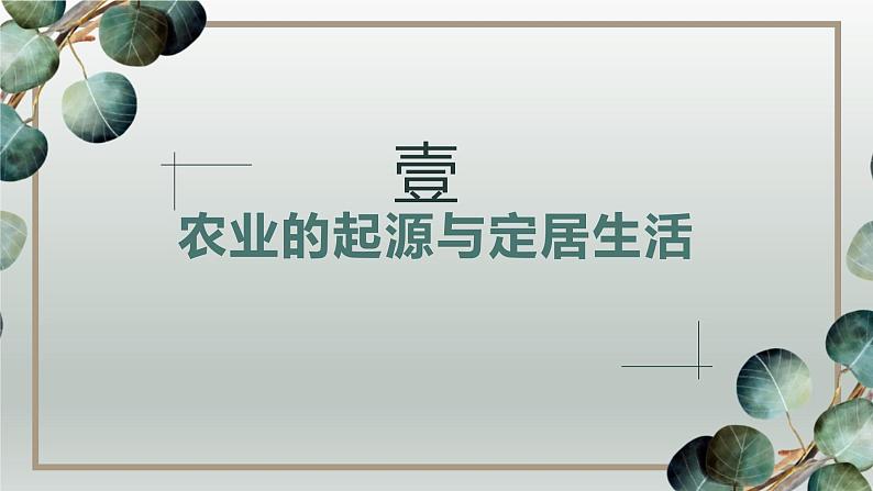 人教统编2024年版七年级历史上册第2课_原始农业与史前社会【课件】03