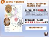 人教统编2024年版七年级历史上册第3课_中华文明的起源（教学课件）