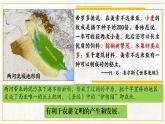 第二课古代两河流域  课件 人教版九年级上册第一单元