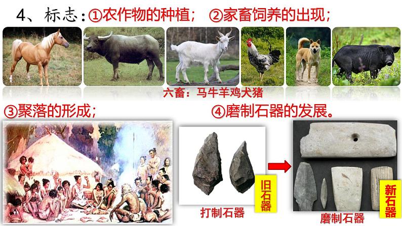 【名师课堂】初中历史七年级上册 第2课 原始农业与史前社会  精品课件08