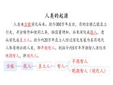 初中历史部编版七年级上册第1课 远古时期的人类活动 课件