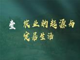 人教版(2024)7上历史第2课《原始农业与史前社会》课件.pptx