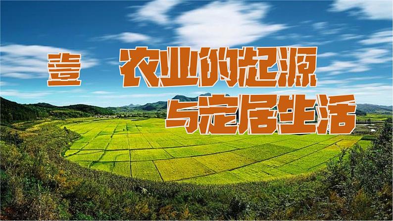 人教版初中历史7上第2课 《原始农业与史前社会》课件06