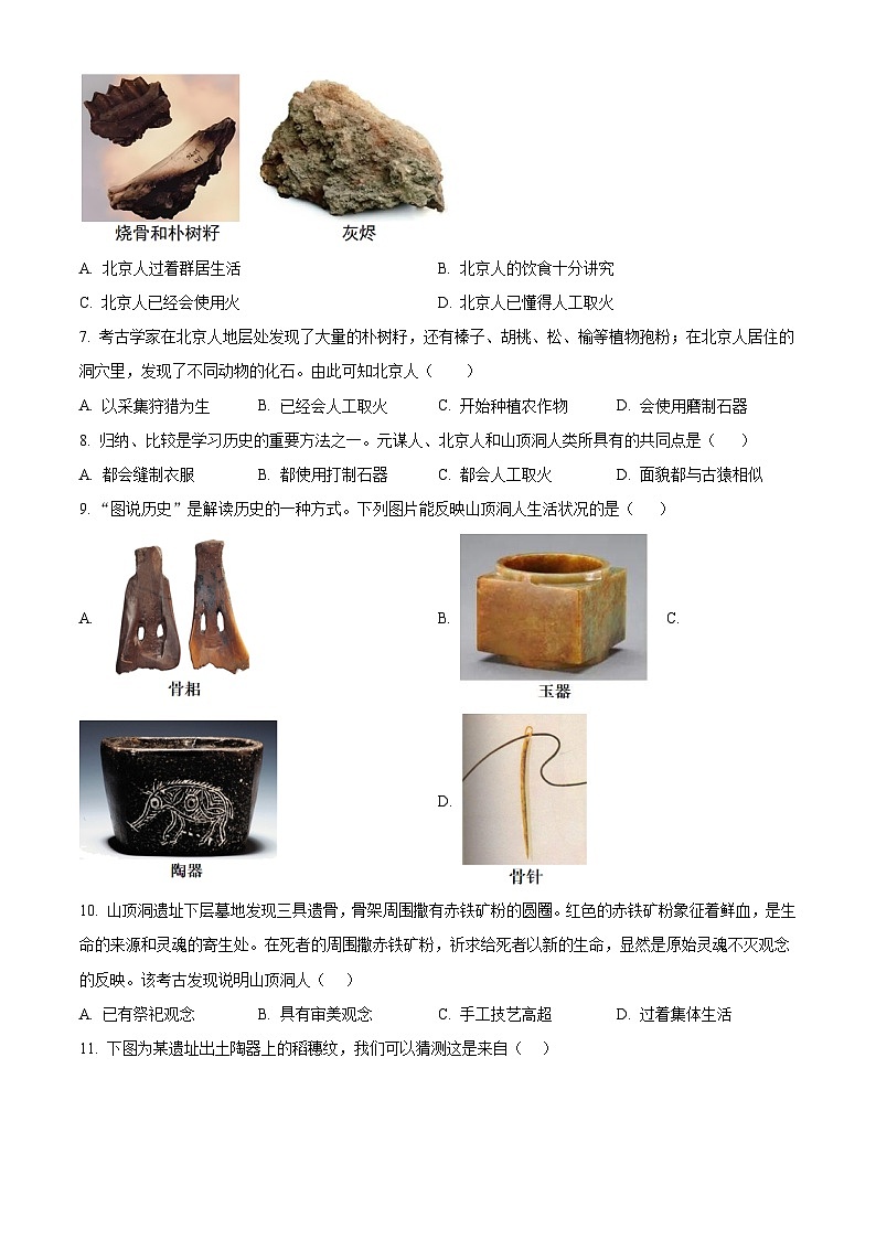 广东省清远市阳山县2024~2025学年七年级上学期9月月考历史试题（原卷版）第2页