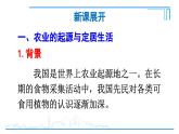 第2课 原始农业与史前社会2024-2025学年人教版七年级历史上册同步课件2024新教材