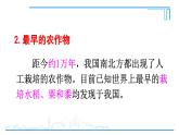 第2课 原始农业与史前社会2024-2025学年人教版七年级历史上册同步课件2024新教材