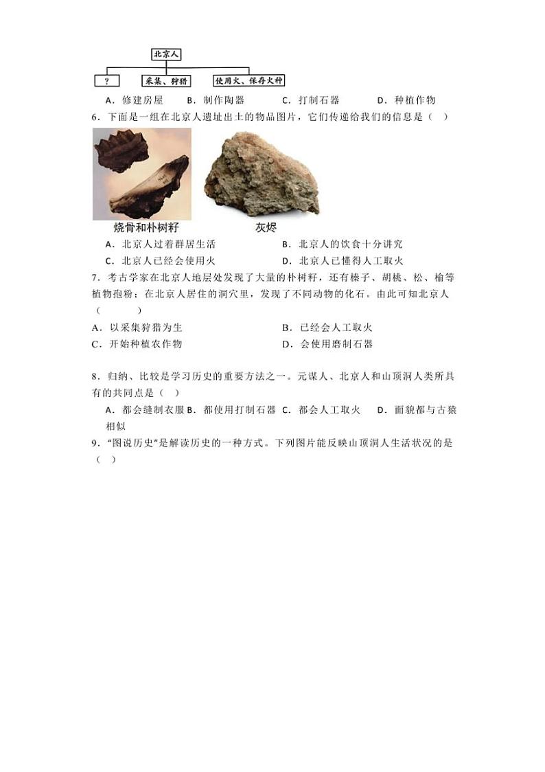 [历史]广东省清远市阳山县2024～2025学年七年级上学期9月月考试题(有解析)02