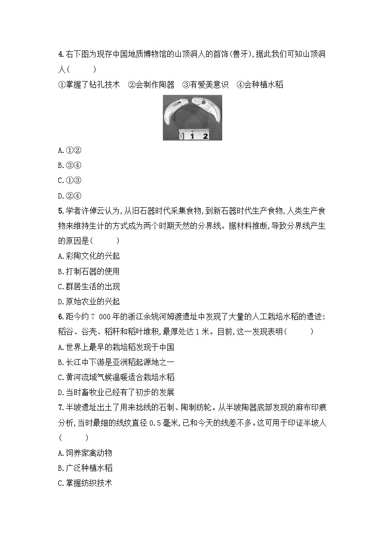 统编版（2024新版）历史七年级上册第一单元学情评估测试卷（含答案）第2页