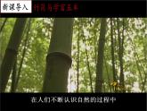 【名师课堂】初中历史七年级上册 第15课 秦汉时期的科技与文化 精品课件
