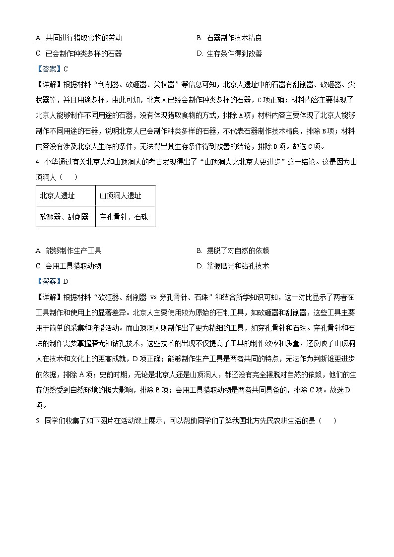 河南省郑州市陈中实验学校2024--2025学年部编版七年级上学期第一次月考历史试卷（解析版）02