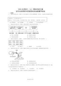 [历史]2024北京初二上学期期末真题分类汇编：近代化的探索与民族危机的加剧章节综合