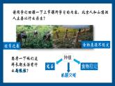 2024年新教材 七年级上册历史  第2课  原始农业与史前社会  课件-2024-2025学年人教版（2024）七年级历史上册
