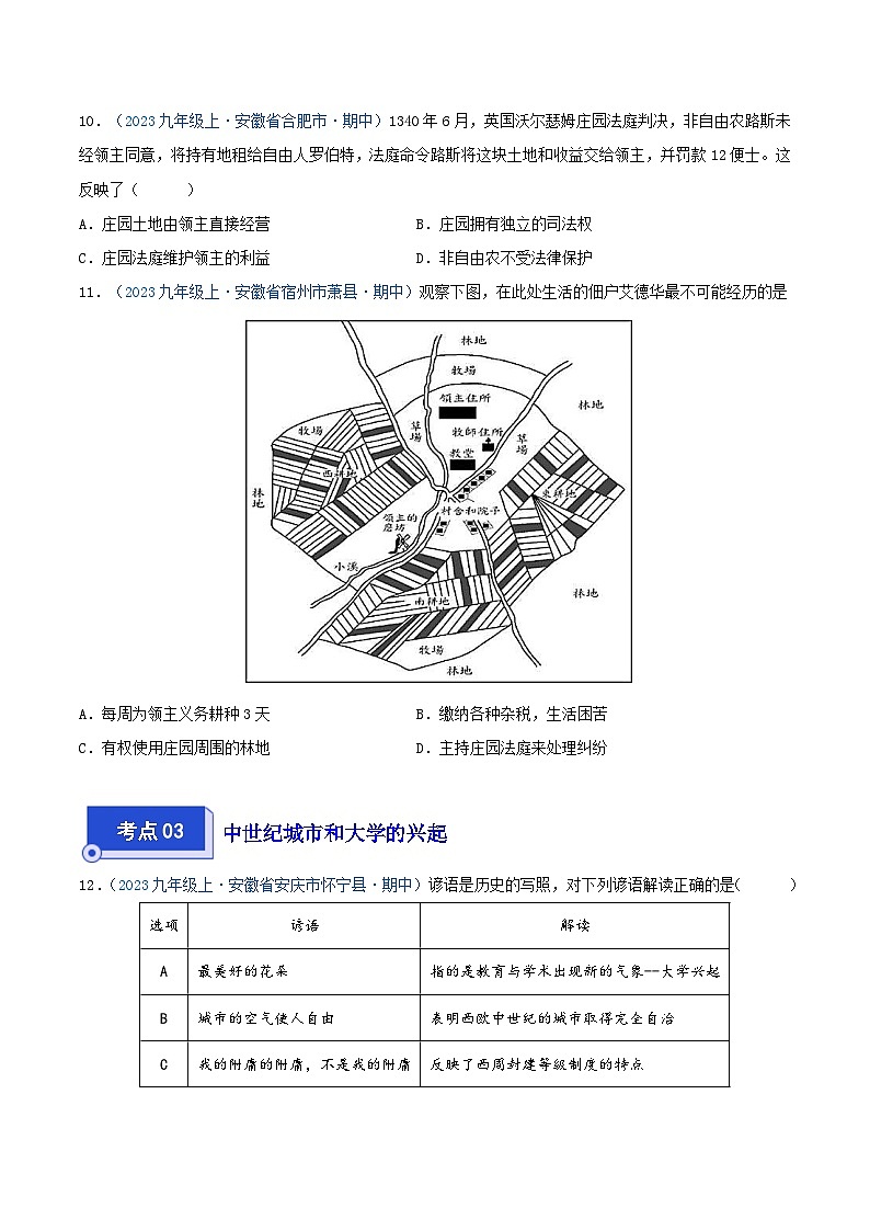 2024年九年级历史上册期中真题汇编 第三单元 封建时代的欧洲（原卷版）（安徽专用）第3页