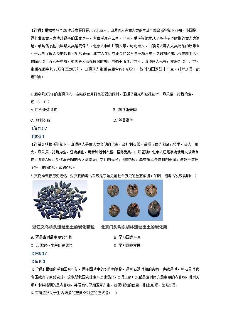 河南省郑州市新郑市2024-2025学年七年级上学期9月月考历史试题（解析版）02