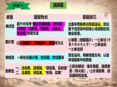 统编版（2024新版）七年级上册历史：考前答题技巧指导 课件