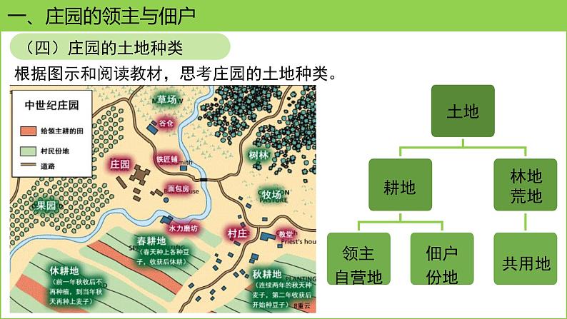 人教版（2024）历史 九年级上册 第8课 西欧庄园 课件第8页
